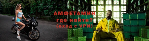 стафф Гусев