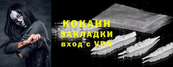 стафф Гусев