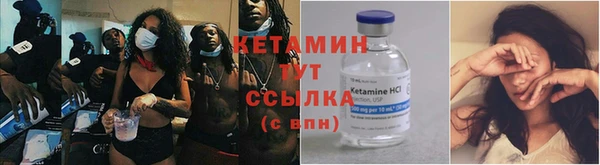 стафф Гусев