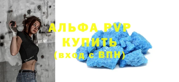 стафф Гусев