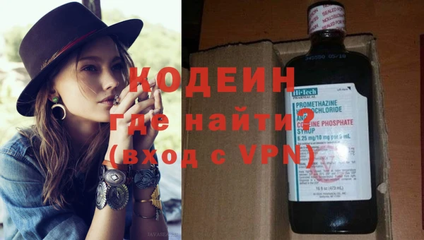 стафф Гусев