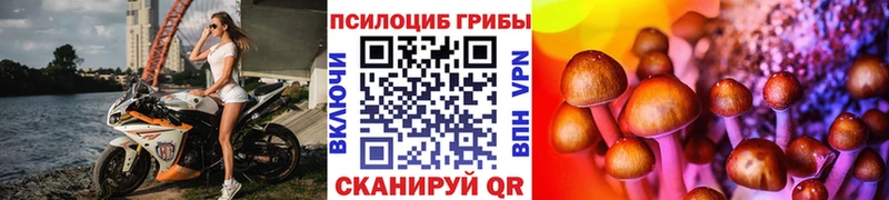 Псилоцибиновые грибы Cubensis  Михайлов 